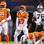 Carolina Panthers vs Chicago Bears Match Player Stats