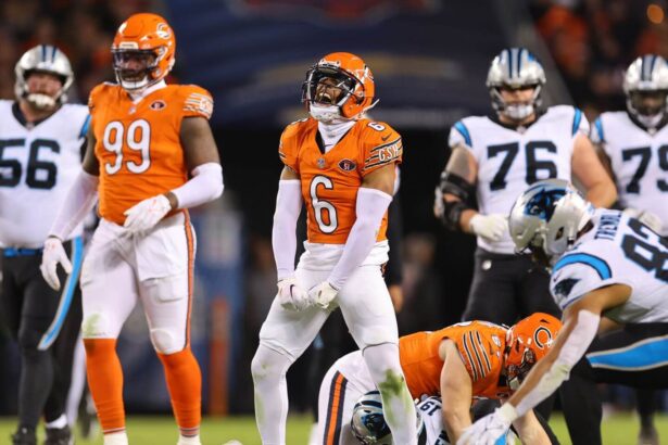 Carolina Panthers vs Chicago Bears Match Player Stats